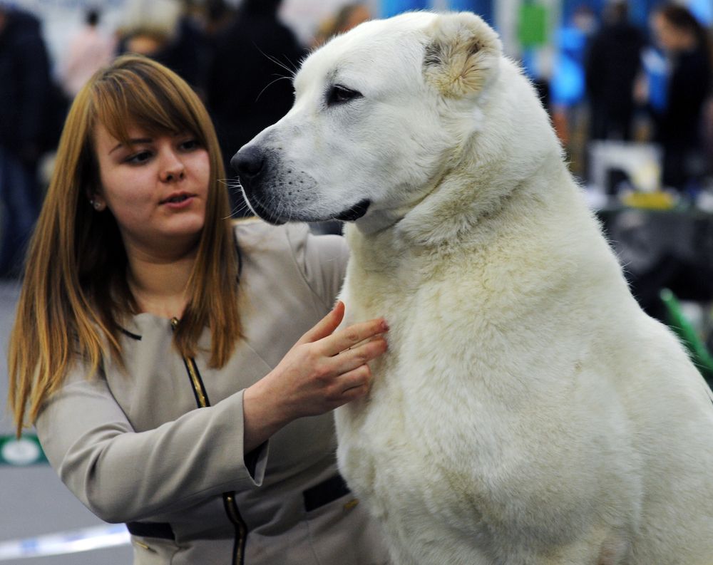 Editorial: November 20, 2020